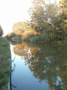 leicester line, canal, reflection, summer adventure 