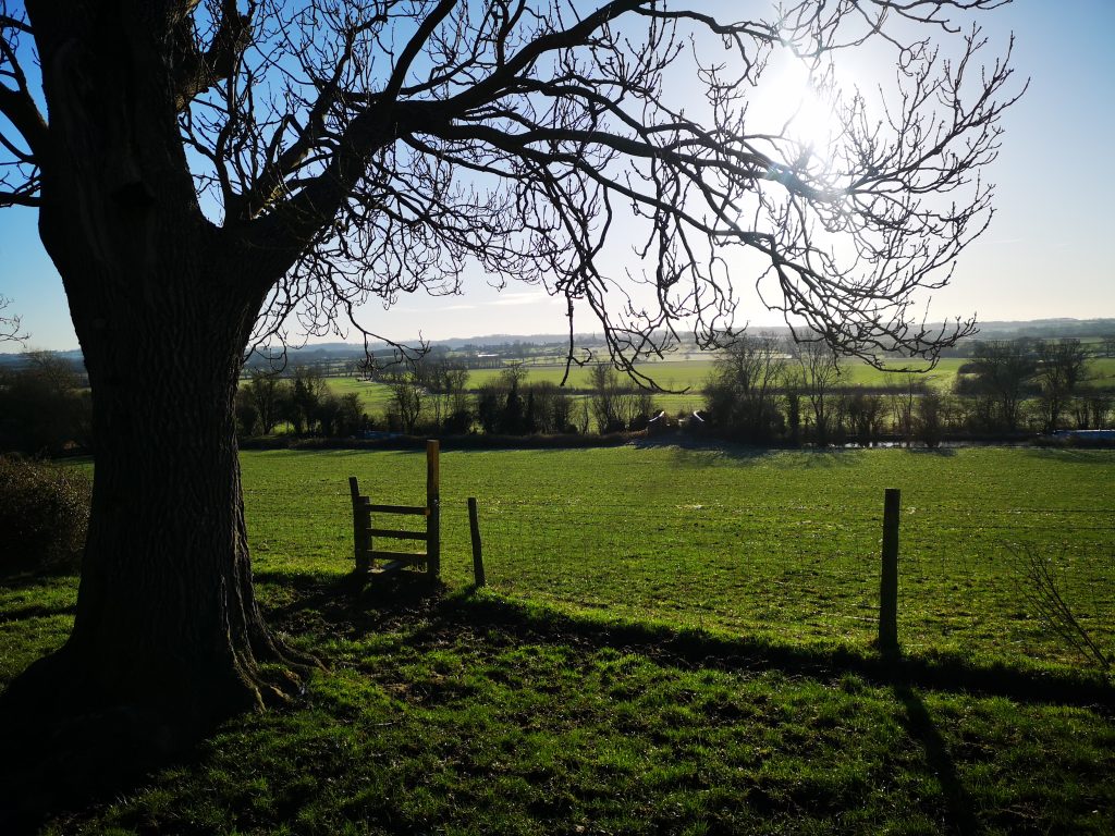 View from the stile 